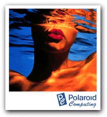 [Pola